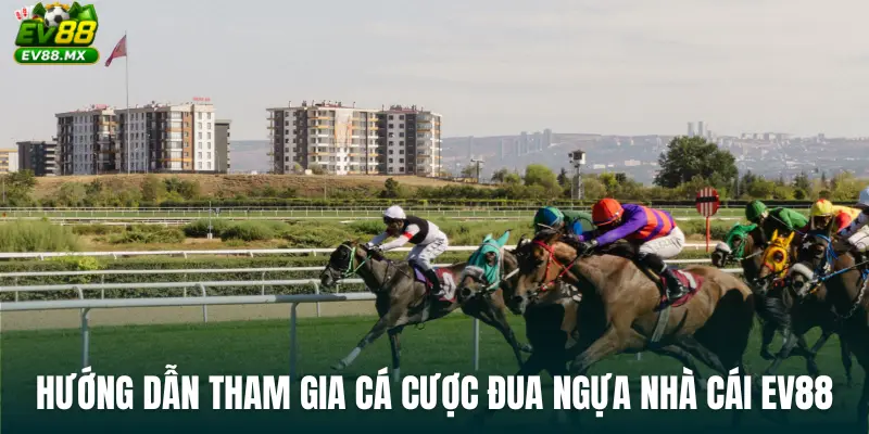 Hướng dẫn tham gia cá cược đua ngựa nhà cái ev88