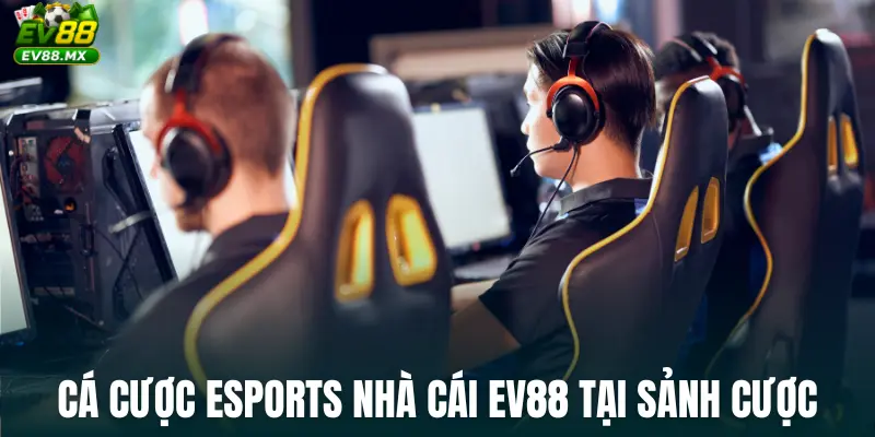 Cá cược esports nhà cái ev88 tại sảnh cược