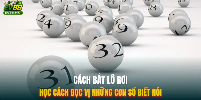 Học cách đọc vị những con số biết nói trên bảng kết quả hàng ngày.