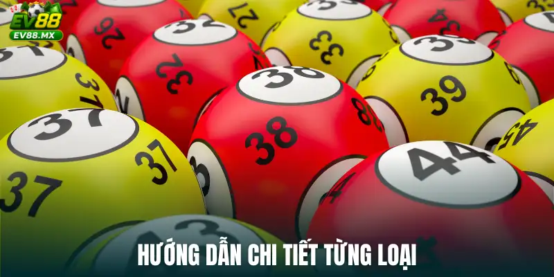 Hướng dẫn chi tiết từng loại
