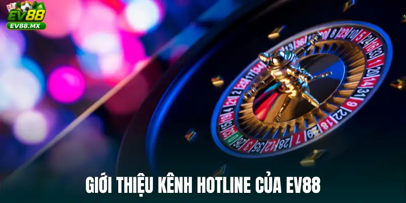 Giới thiệu kênh hotline của EV88