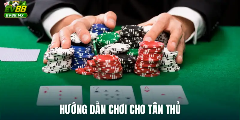 Hướng dẫn chơi cho tân thủ