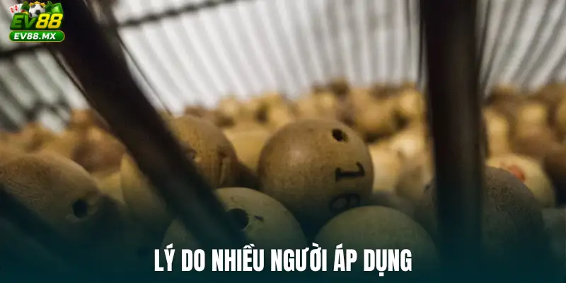 Lý do nhiều người áp dụng